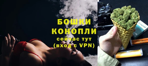 винт Бронницы