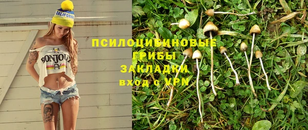 винт Бугульма
