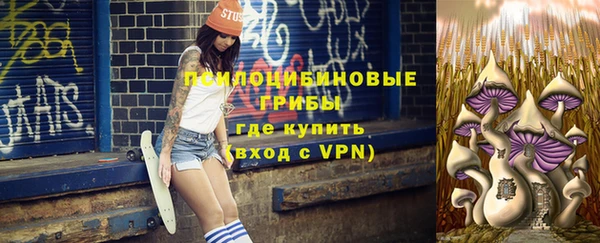 винт Бугульма