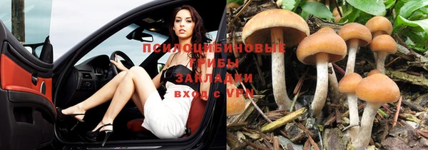 винт Бугульма