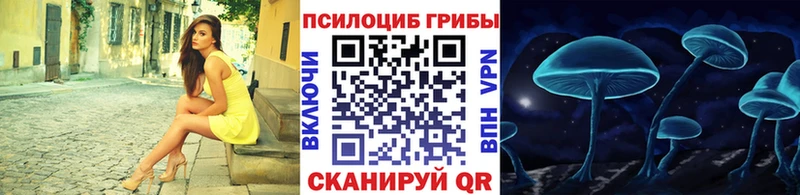 Галлюциногенные грибы Psilocybine cubensis  Гай 